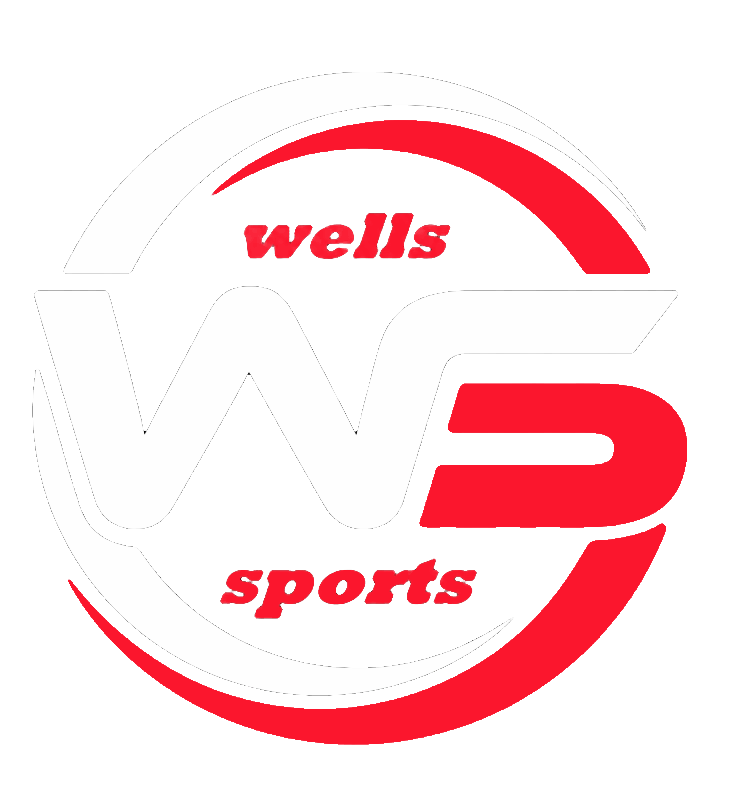 gsi-logo
