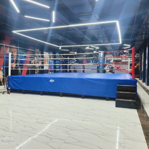 Blue Boxing Ring